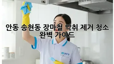 안동 송현동 장마철 악취 제거 청소 완벽 가이드