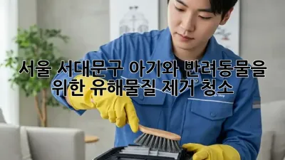 서울 서대문구 아기와 반려동물을 위한 유해물질 제거 청소