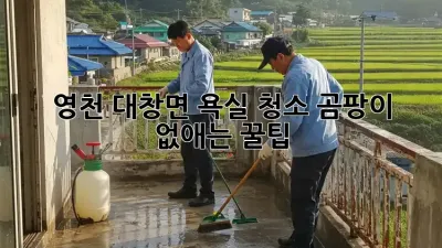 영천 대창면 욕실 청소, 곰팡이 없애는 꿀팁!